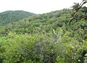 瑪依谷地自然保護區
