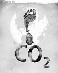 諾亞規則 諾亞規則