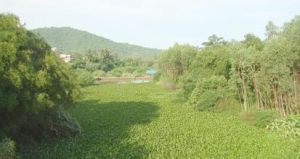 國營和嶺農場 國營和嶺農場