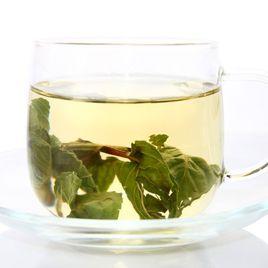 薄荷荷葉茶
