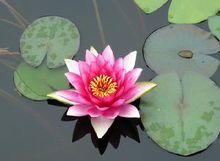 濰坊安丘青雲山