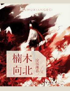 楠木向北 楠木向北