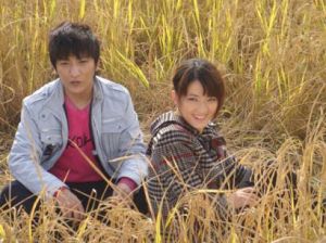 《萬年飄香》 《萬年飄香》