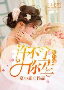 對不起,許不了你一生 對不起,許不了你一生