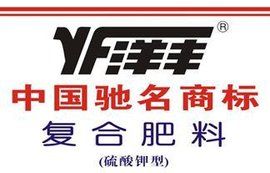 洋豐集團 洋豐集團