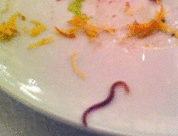 蠕蟲沙拉 蠕蟲沙拉