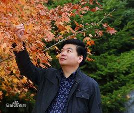 伊春權權 伊春權權