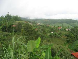 科賀自然村 科賀自然村