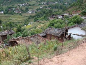 中和大七自然村 中和大七自然村