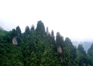 光霧山國家重點風景名勝區