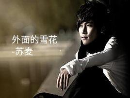 外面的雪花 外面的雪花