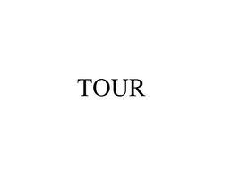tour[巡迴演唱會]