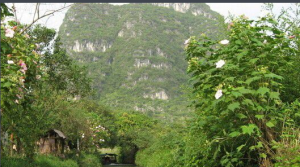 枯井園自然保護區