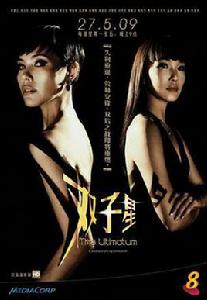 雙子星[新加坡2009年張龍敏執導電視劇]