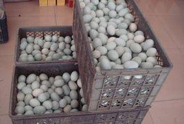 致癌鹹蛋 致癌鹹蛋