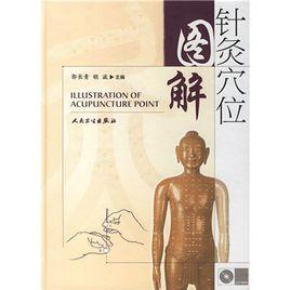 針灸穴點陣圖解 針灸穴點陣圖解