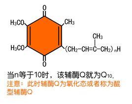 輔酶Q 輔酶Q
