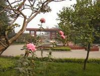 峰峰春暉中學 峰峰春暉中學