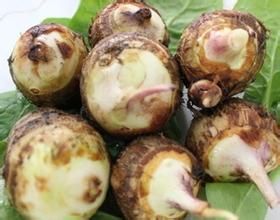 雙菇燒芋艿 雙菇燒芋艿