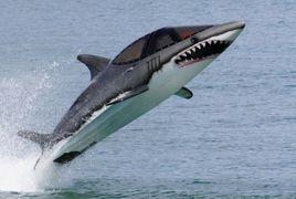 機械鯊魚 機械鯊魚