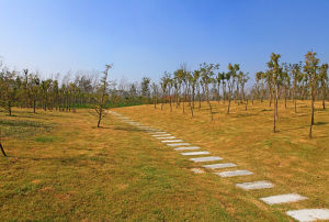 天山公園[江蘇]