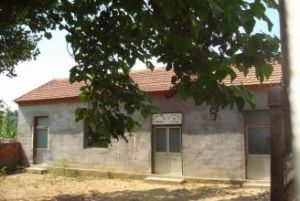 新小莊村 新小莊村