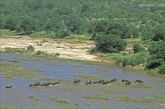德國國家公園 德國國家公園