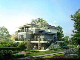 蟠龍山水 蟠龍山水