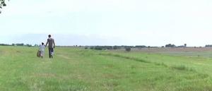 《完美的世界》