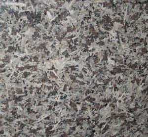 樹掛冰花 樹掛冰花