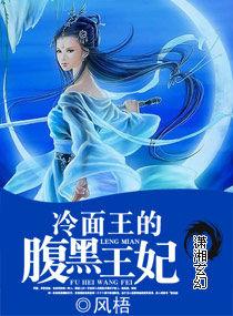 冷麵王的腹黑王妃 冷麵王的腹黑王妃