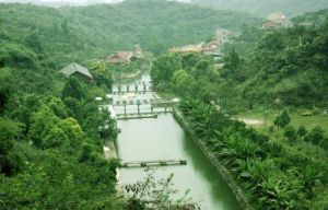 清遠鳴翠谷 清遠鳴翠谷