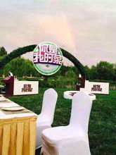 你是我的菜[陝西衛視大型親子美食真人秀《你是我的菜》]