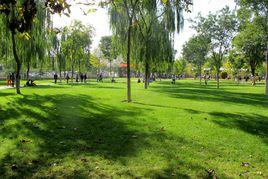 蘭州植物園 蘭州植物園