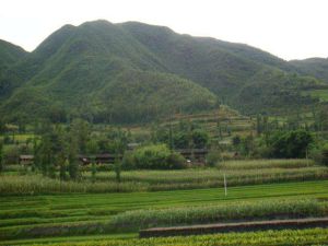 歇牛廠村 歇牛廠村