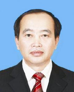 黃光華[廣西河池市委常委、政法委書記]