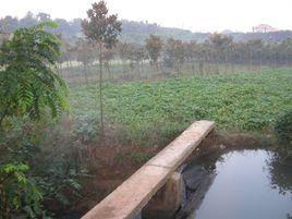 迎風橋鎮 迎風橋鎮