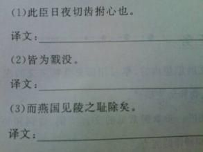 此臣日夜切齒拊心也