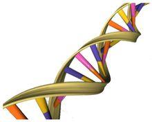 生物武器[用生物殺死有生力量和毀壞植物的武器]