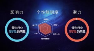 百度代言人衡量工具