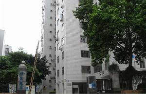 信苑花園 信苑花園