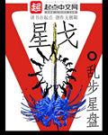星戈 星戈