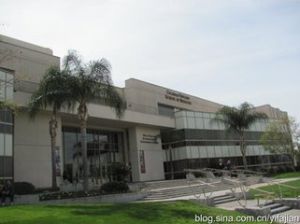 羅馬聖瑪利亞自由大學 羅馬聖瑪利亞自由大學