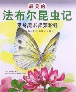 最美的法布爾昆蟲記：變身魔術師菜粉蝶