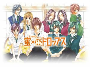 蜜X蜜Drops[蜜X蜜Drops]