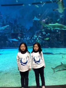 8·5北京雙胞胎姐妹失蹤事件 8·5北京雙胞胎姐妹失蹤事件