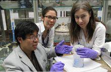 曹建文[陶瓷專家]