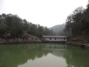 觀音岩[麗水市]