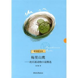 梅里山鷹:沈石溪動物小說精選 梅里山鷹:沈石溪動物小說精選