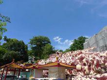 新加坡虎豹別墅